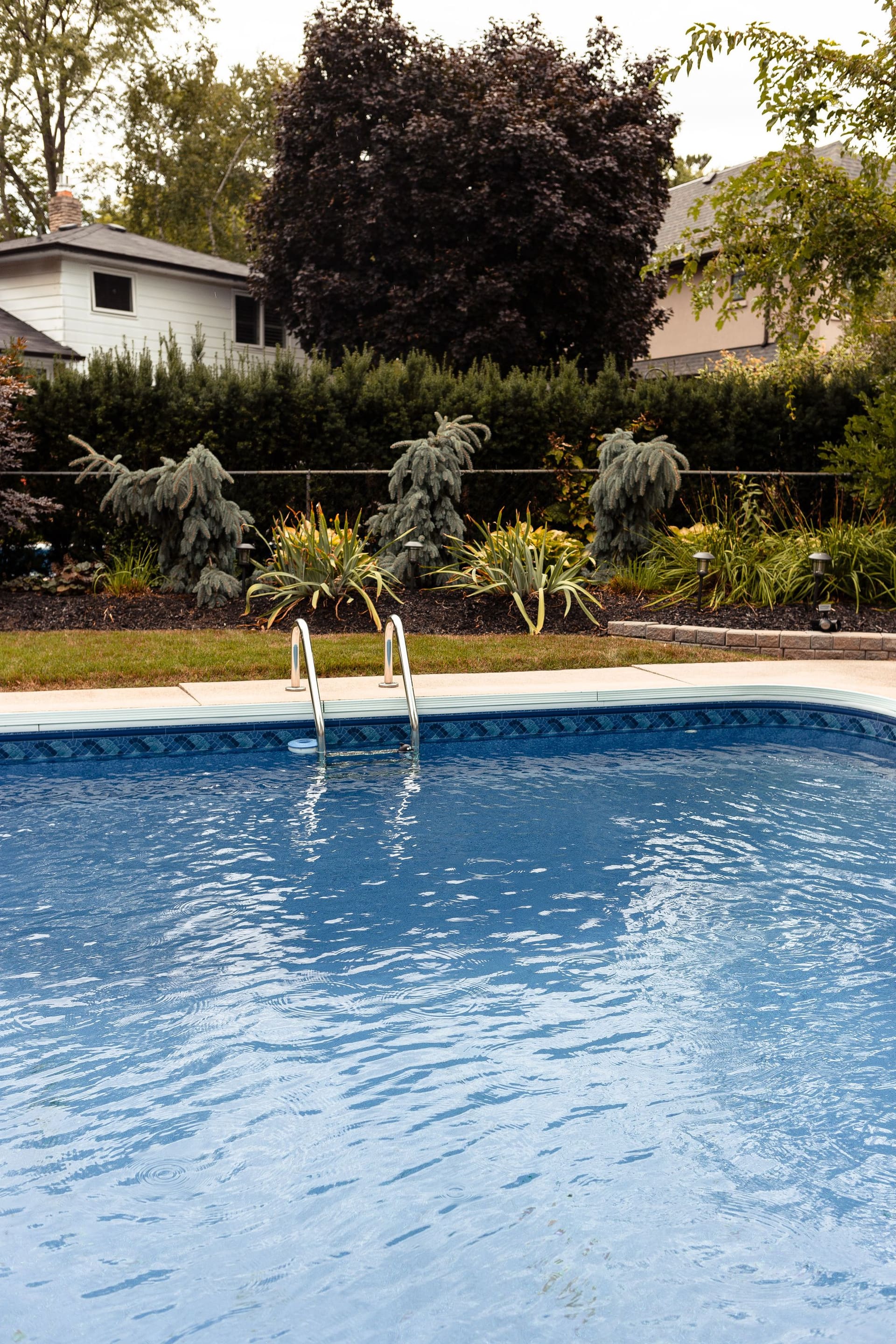 Clear blue water in an inground pool with a steel ladder, in a landscaped backyard